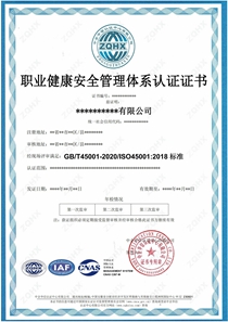職業(yè)健康安全管理體系（CNAS）