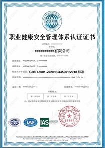 職業(yè)健康安全管理體系（IAS）